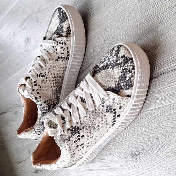 Steve Madden Shoes - 🐍 Steve Madden Hanly snake print sneakers. Size 6.5